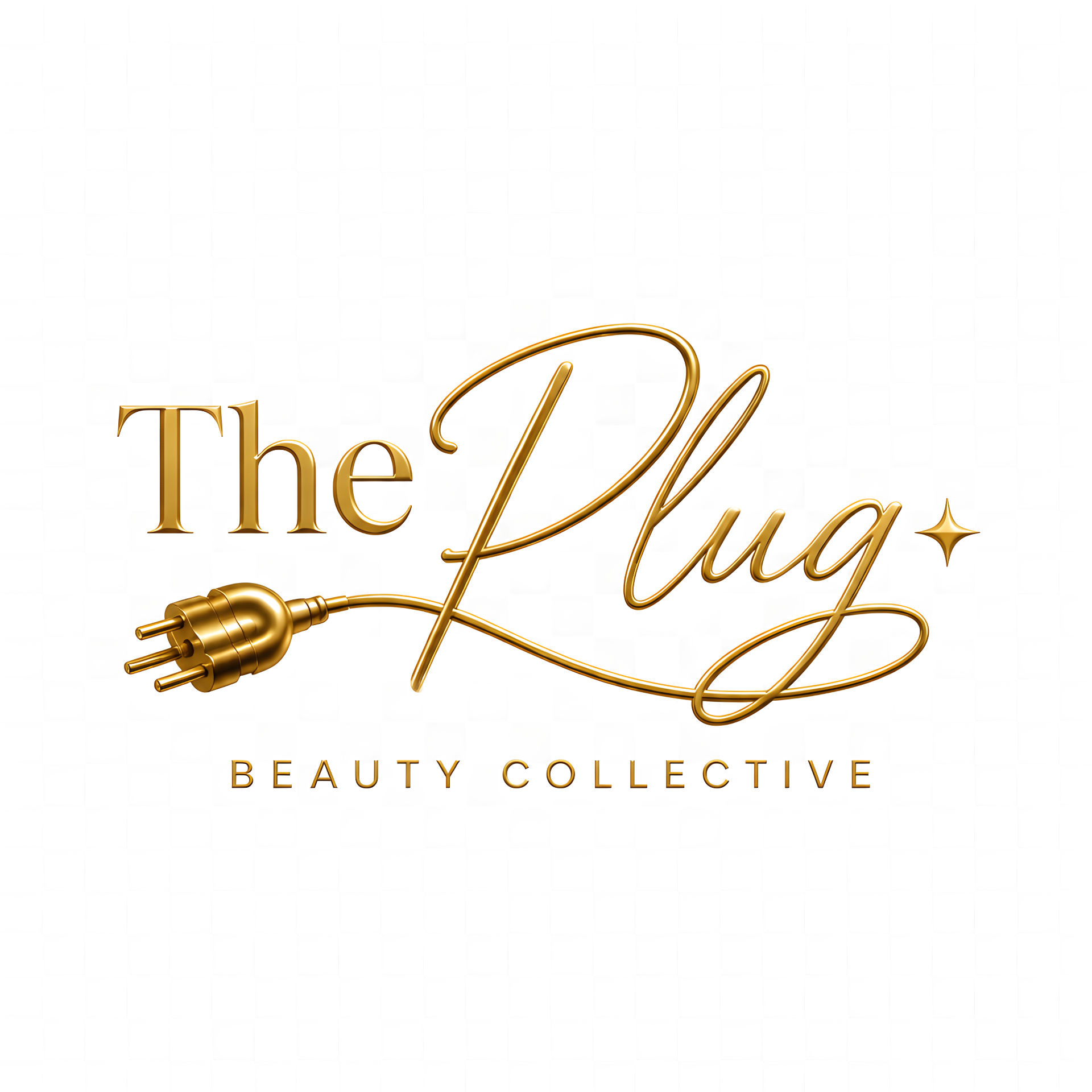 The Plug Beauty Collective logo